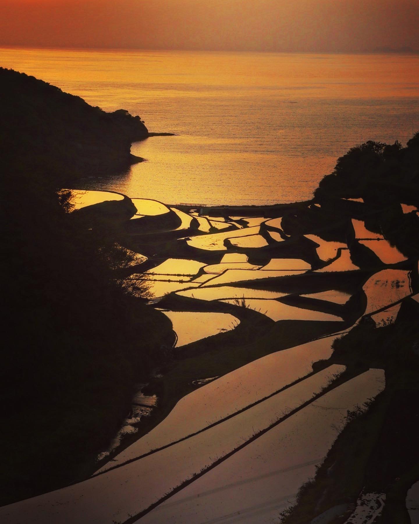 美しい自然の風景写真 棚田